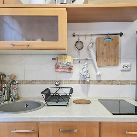 Apartments Maria Novigrad Istria Eksteriør billede