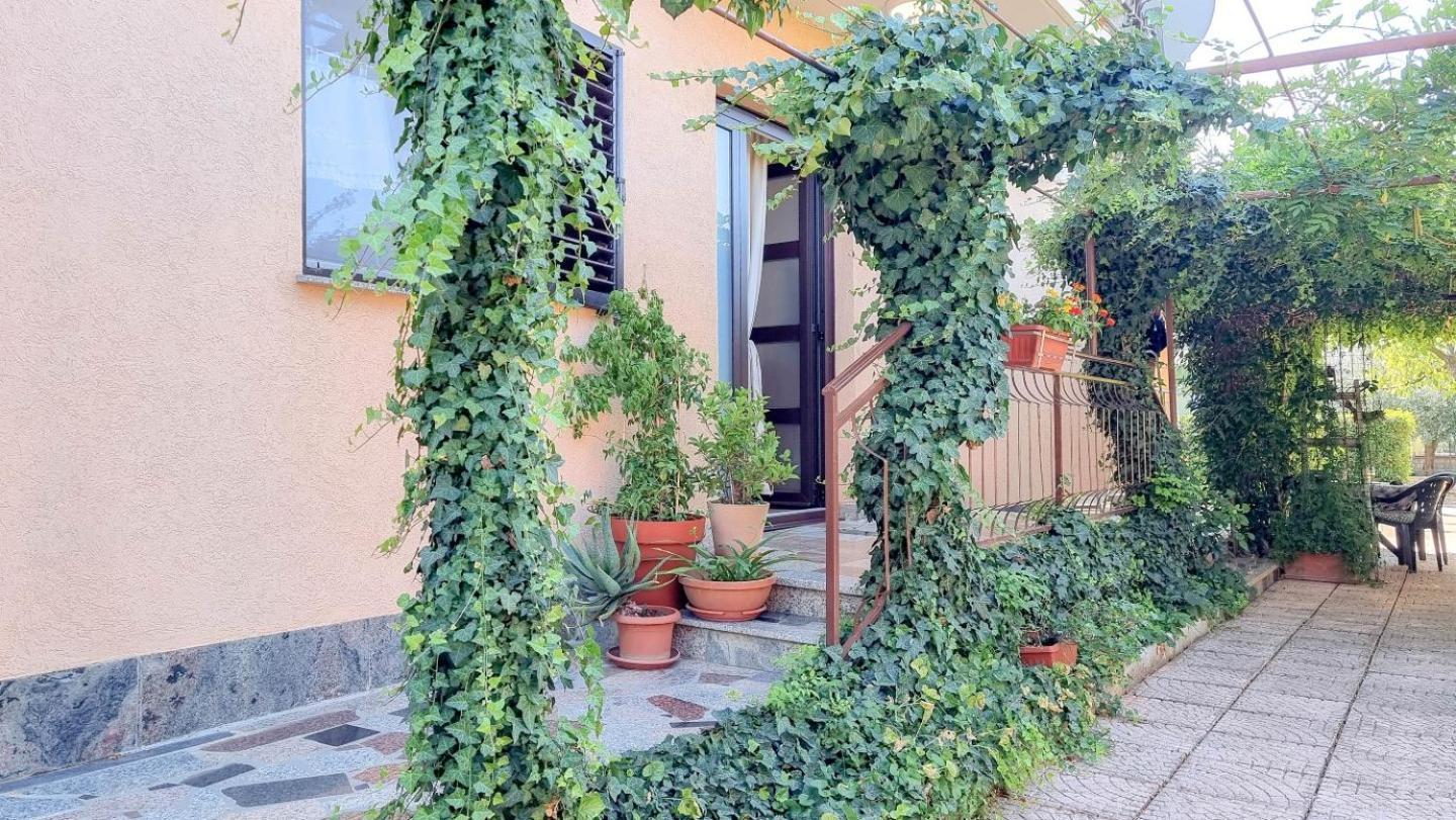 Apartments Maria Novigrad Istria Eksteriør billede
